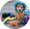 Pet Toys