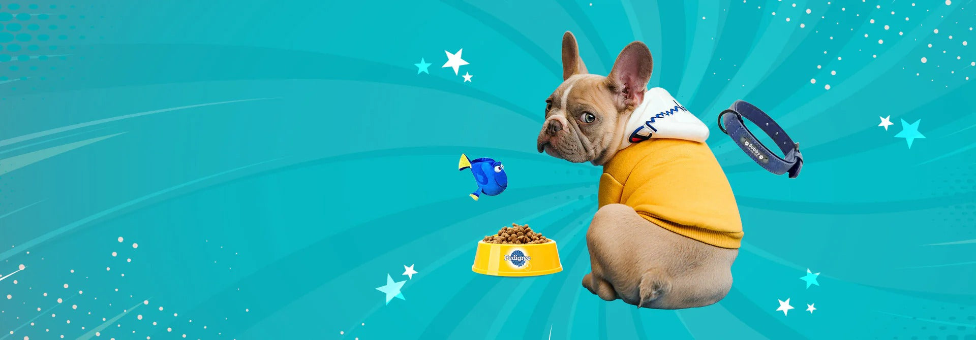 Our In-home Pet Care Service